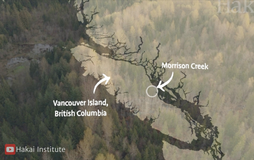 Map of Vancouver Island showing Morrison Creek area