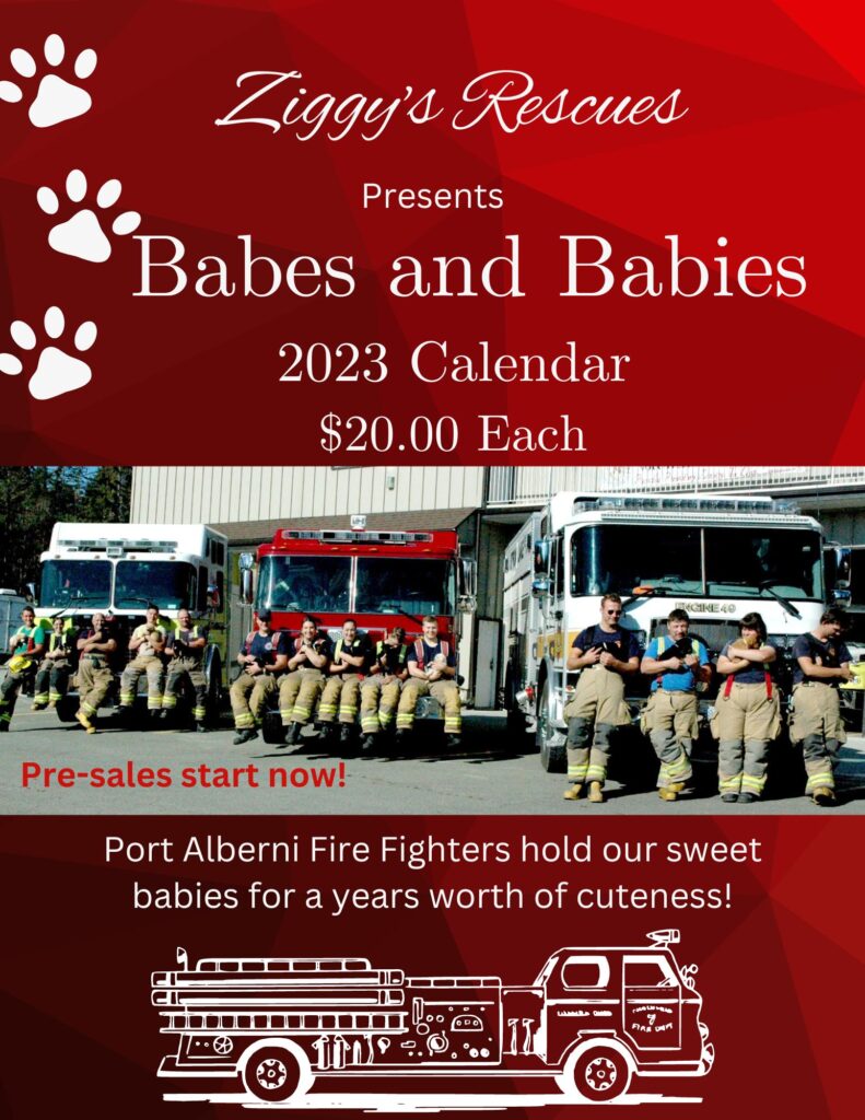 A poster for a fundraising campaign where Port Alberni Firefighters are holding puppies from Ziggy's Rescues