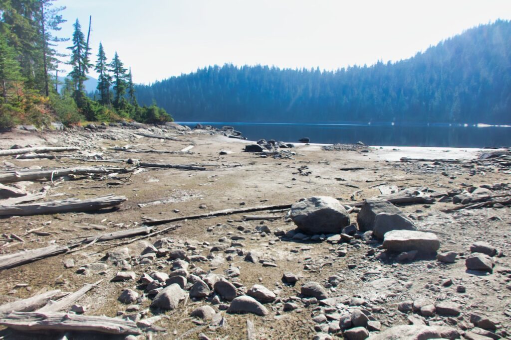 A photograph of Edwards Lake's shoreline showing a 3.5m reduction in water level. Photo taken 09-10-22.