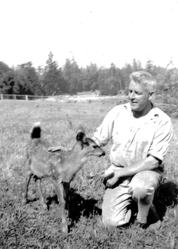 M.G. Hill, founder of Yellow Point Lodge, playing with 'Beverley' the deer.
