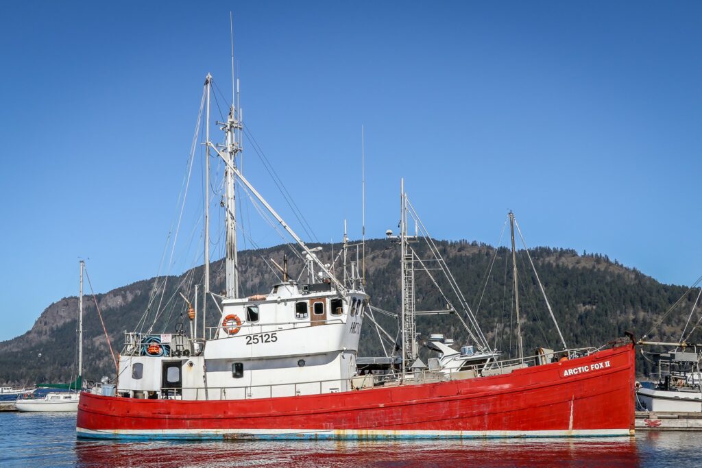 Report On Deadly Sinking Of Arctic Fox II Fishing Boat Blasts 30 Years Of  Inaction On B.C. Coast - THE SKEENA