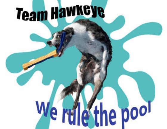 A Poster designed by @ayrikphotography cheering Team Hawkeye. Source: Pooch Pack Adventures-Facebook.
