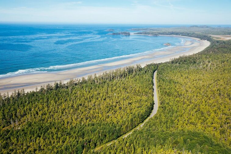 A breathtaking aerial perspective of Highway 4 / Pacific Rim Highway, winding through Pacific Rim National Park Reserve on the way to Tofino.