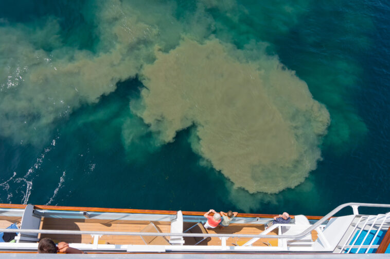 Passengers on a cruise ship looking at out at pollution in the water.