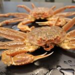Snow crabs are going missing in Alaska.