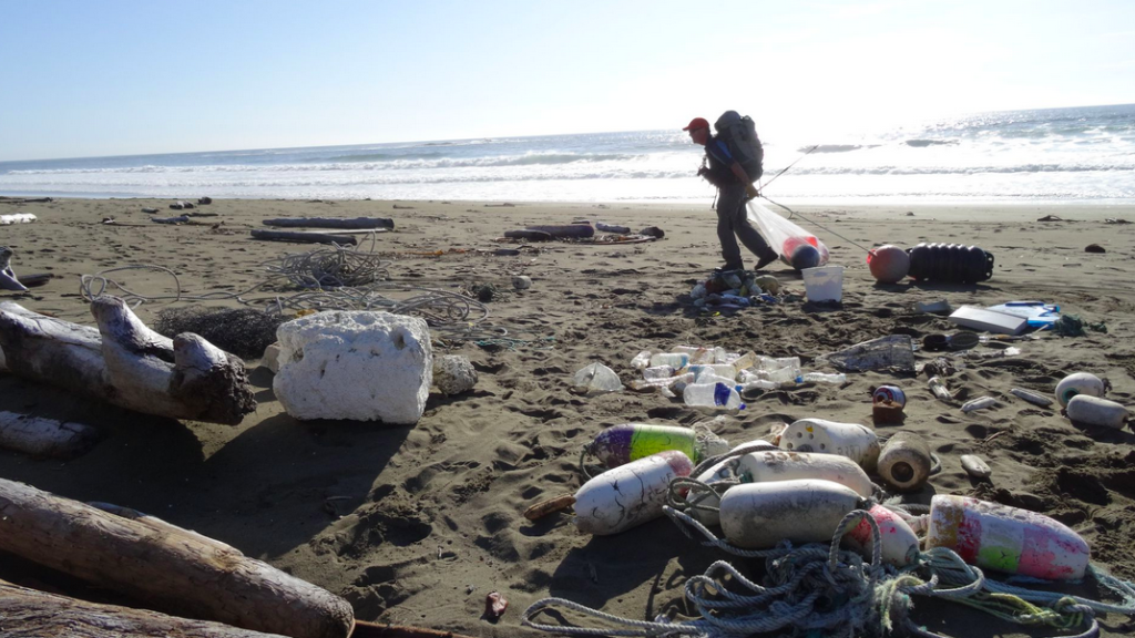 A photograph of artist Pete Clarkson collecting debris from the beach. 