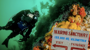 Progress is being made to have a new marine protected area near Vancouver Island.