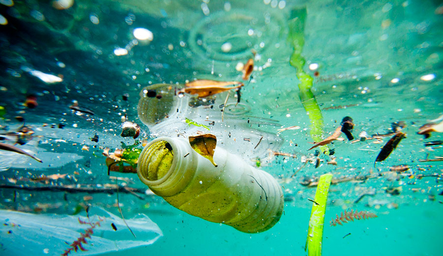 Plastic water bottle floating in the ocean.