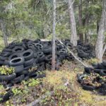 Before photo from the recent cleanup of "Tire Island."