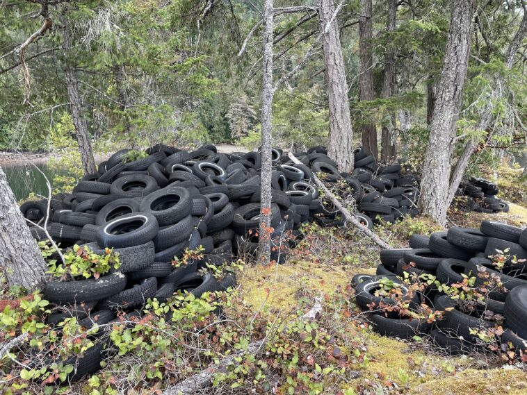 Before photo from the recent cleanup of "Tire Island."