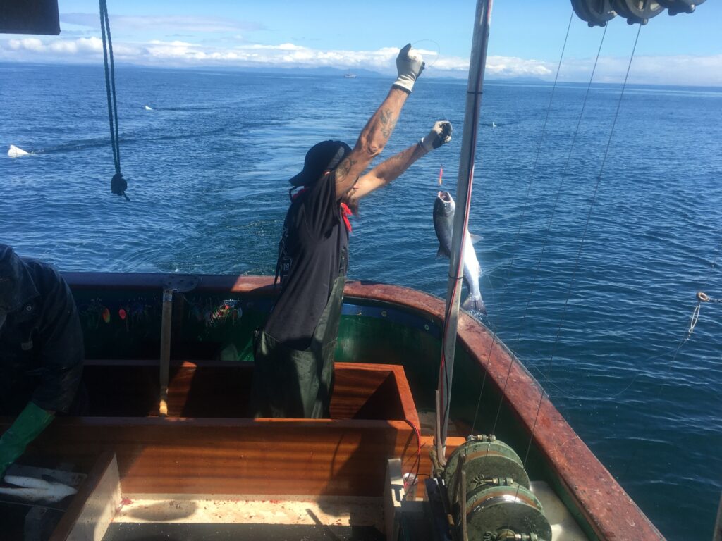 Francis van der Sande north of Haida Gwaii trolling for blueback coho salmon. 