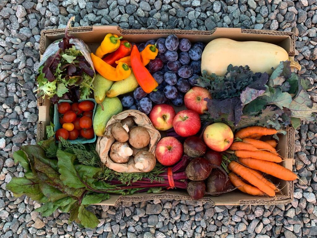 These farm fresh food lover boxes include produce from Alberni valley, Cowichan, Saanich, and Comox. Plus they have Okanagan fruits and Fraser valley veggies.