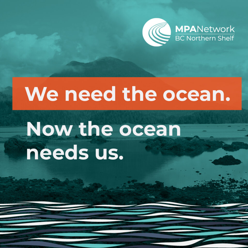 The ocean needs us.