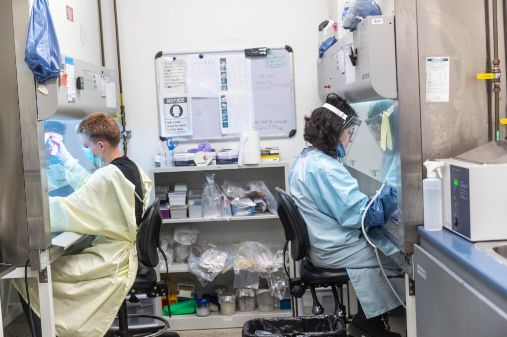 From left, researchers Annika Schulz and Dr. Jimena Perez-Vargas working in the Jean lab.