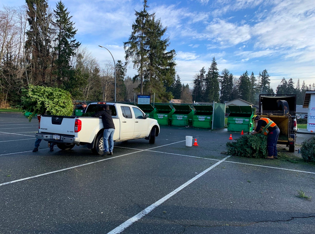 Budget Tree Services partners with the Campbell River Fire Rescue every year to help chip trees. 