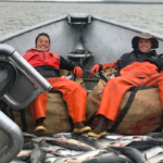 Federal changes to the salmon fishing industry may harm independent harvesters.