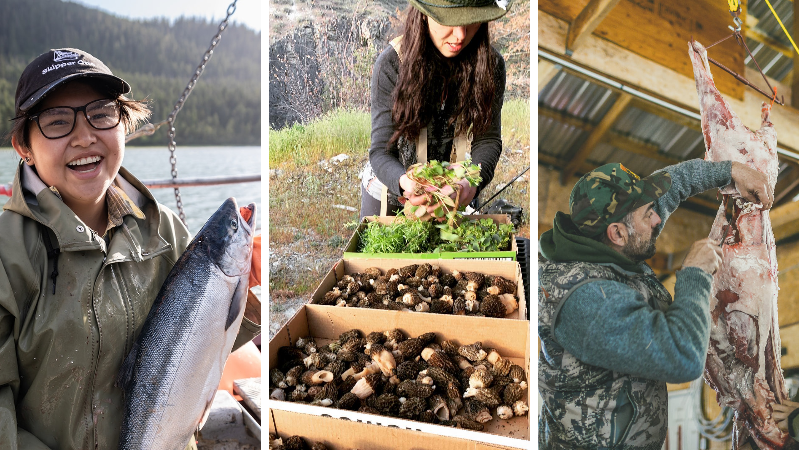 Feeding the Coast is a series by West Coast Now that celebrates the British Columbians who provide our food from the sea, land and forests.