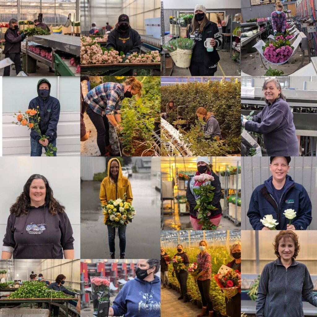 A post celebrating the incredible team of ladies who work in various departments on the farm for international women's day. 