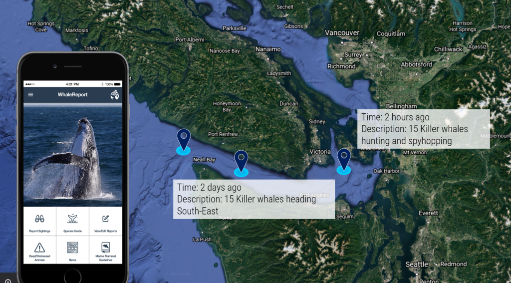 Whale locations are sent to a phone app for use of ships. 