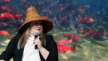 Chief Danielle Shaw says there’s hope that a vast new network of marine protected areas for B.C.’s North and Central Coast will spark a revival of runs of salmon.