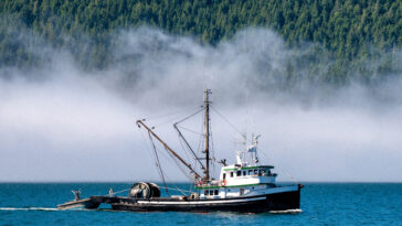 A small fishing boat on the coast of British Columbia.