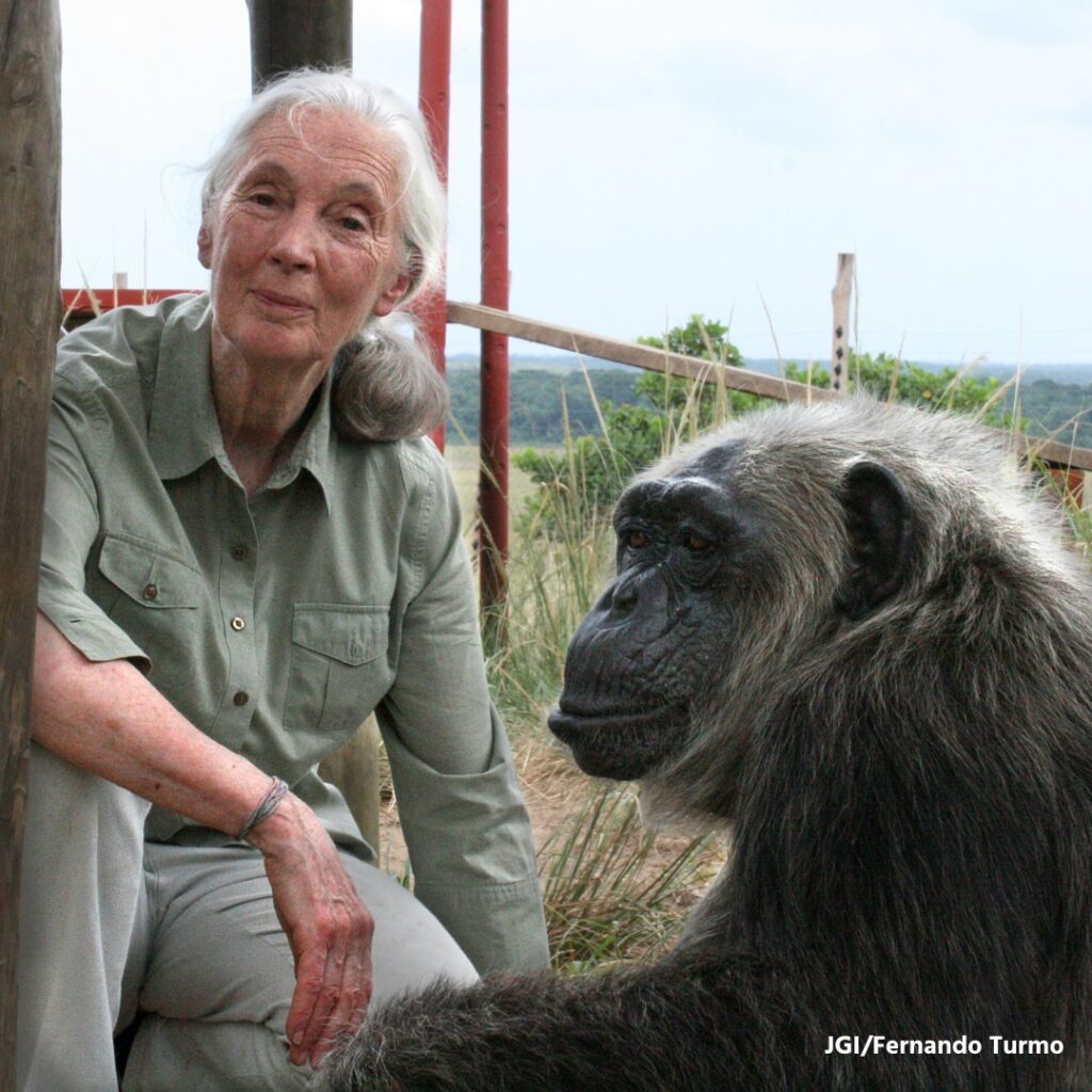 Dr. Jane Goodall. 
