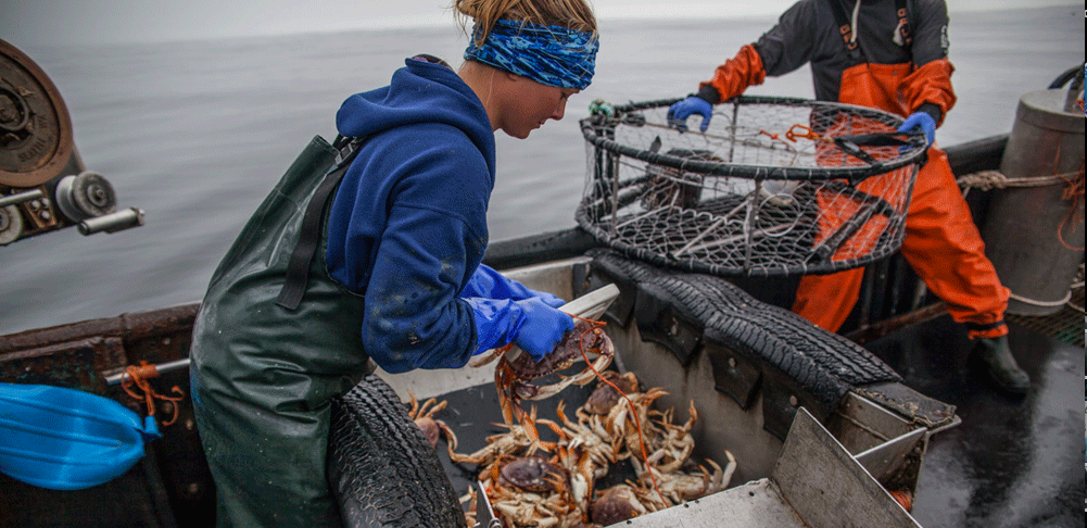 Meet Chelsey Ellis, The Rupert Fisher, Mom, And Photographer, Who's Working  To Keep BC's Crab Industry Strong - West Coast NOW