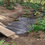 The conservation area of the Morrison Creek headwaters plays a significant role in a expanding network of protected areas focused on the eastern section of Comox Lake, the Puntledge River, and the K'omoks Estuary. Over the course of several decades, coordinated and persistent efforts have successfully safeguarded thousands of acres in this region.