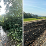 Chilliwack residents are deeply concerned as a vital ecosystem in their area faces destruction, raising alarm bells about the well-being of local fish populations.