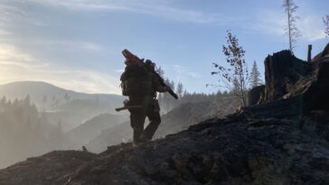 A man walking uphill with an axe on a landscape of chopped trees