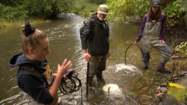 Katie Gair, Allan Chamberlain, and Jane Pendray at the Tsolum River