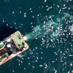 Factory trawler in the ocean.