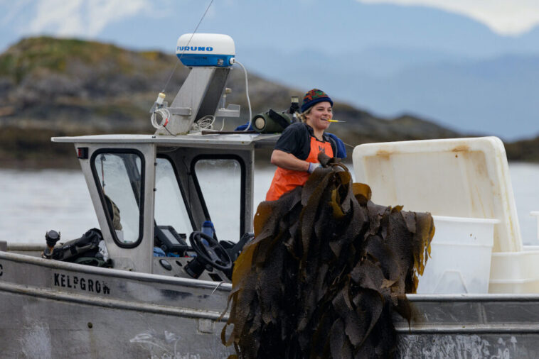A woman holding kelp on a boat.