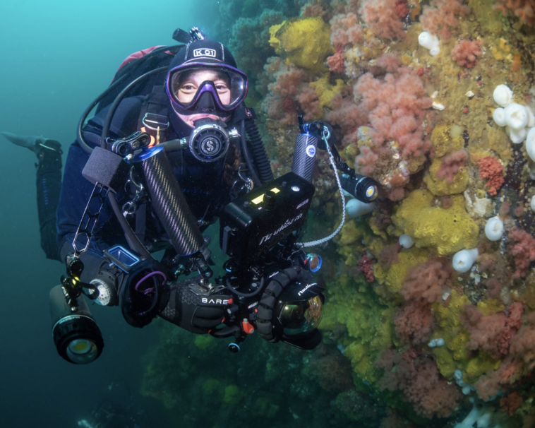 Tiare Boys diving underwater.