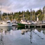 fishing boats in a bay in BC