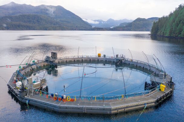 DFO Proposing Extended BC Fish Farm Licences, Despite Feds Promise for ...