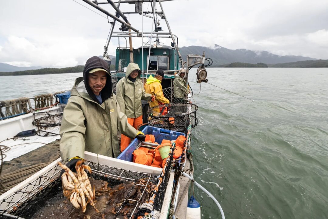 Bringing AI to commercial fishing - Business in Vancouver
