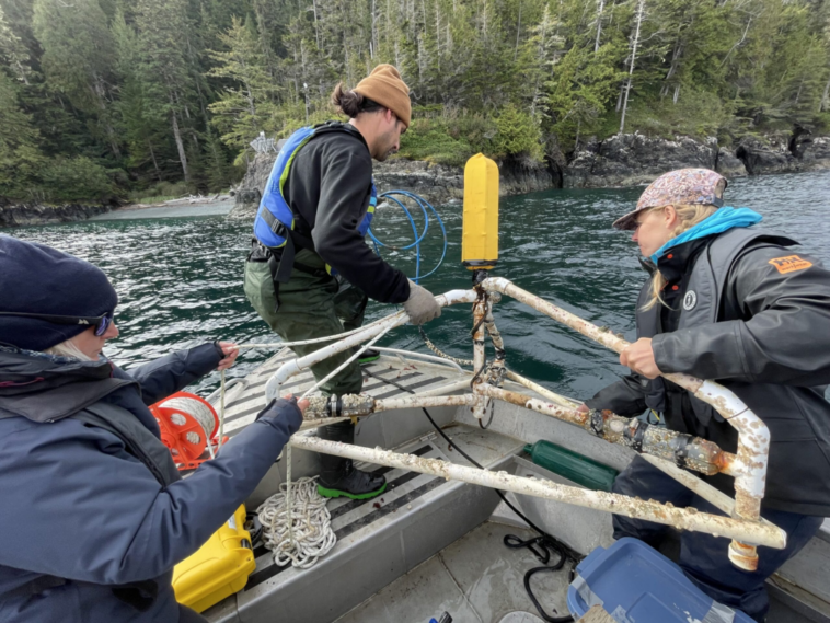 Volunteers lower a hydrophone into the water from a boat