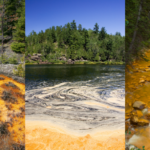 Tailings from gold and silver mines, containing mercury and cyanide.